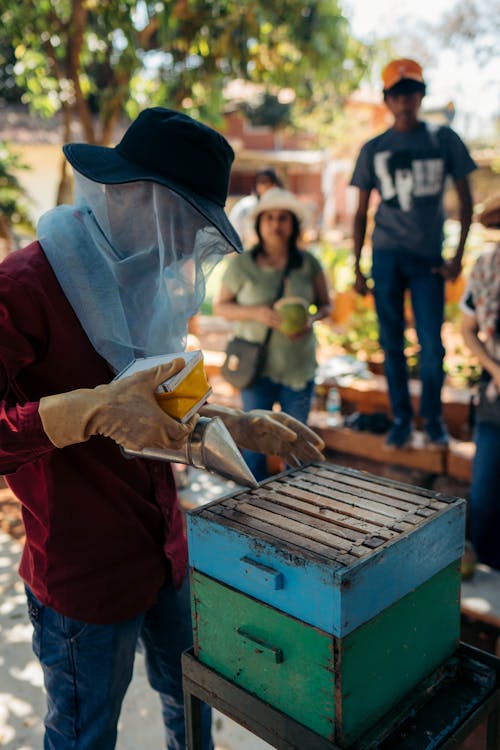 A man in a bee suit is working on a bee hive