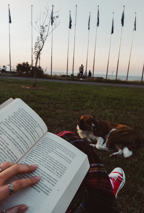 Free A person reading a book with a dog laying on the ground Stock Photo