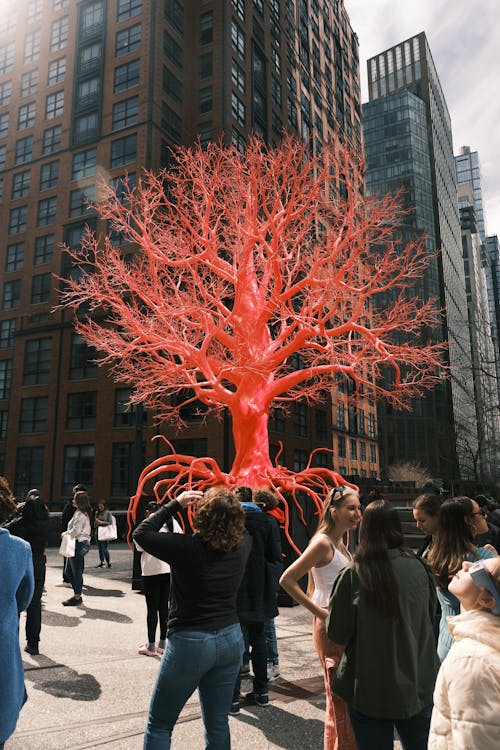 A large red tree in the middle of a city