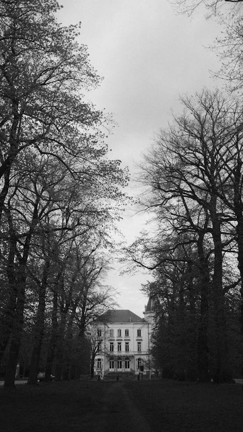 A black and white photo of a house in the woods