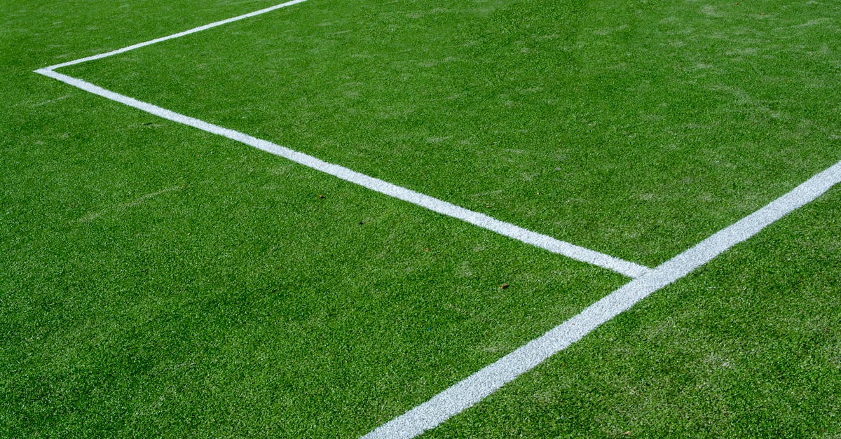 When to Apply Milorganite: Seasonal Timing for Optimal Results - lawn care tips lawn care