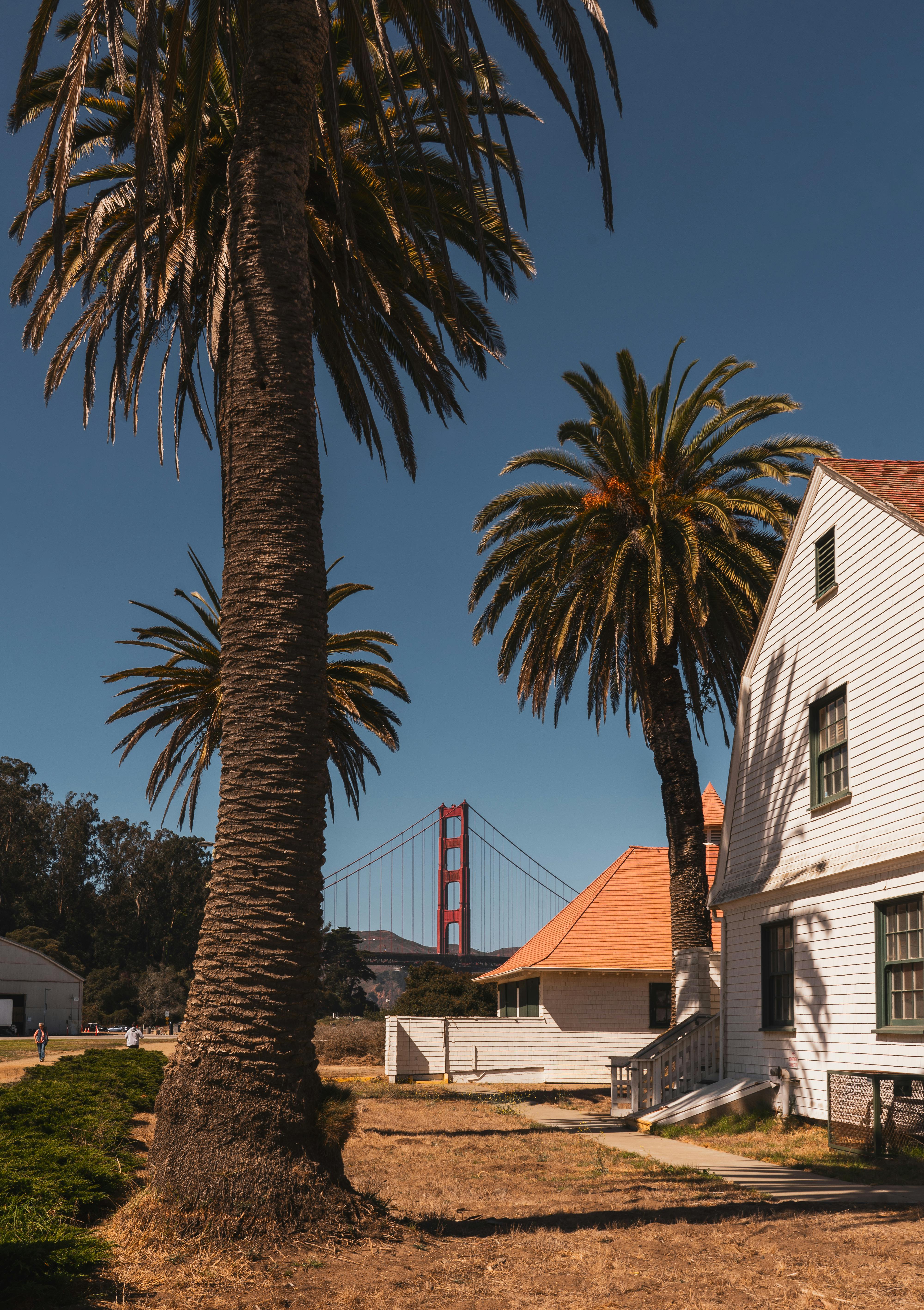 Weekly Meditation Classes