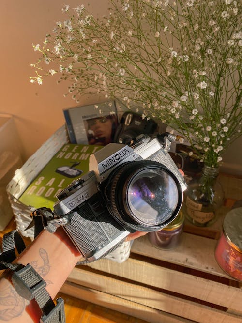 Free A person holding a camera with flowers in the background Stock Photo