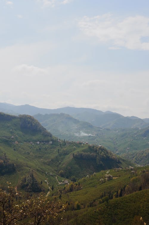 Grass Mountains in Fog