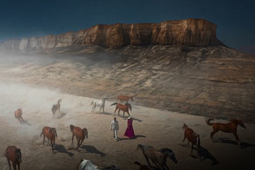 Fotobanka s bezplatnými fotkami na tému cappadocia, hnedé kone, hory