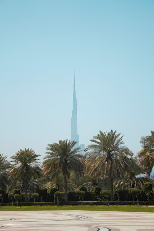 UAE, 고층 건물, 공원의 무료 스톡 사진