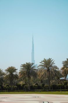 Iconic Burj Khalifa rises above lush palms and clear skies in Dubai.