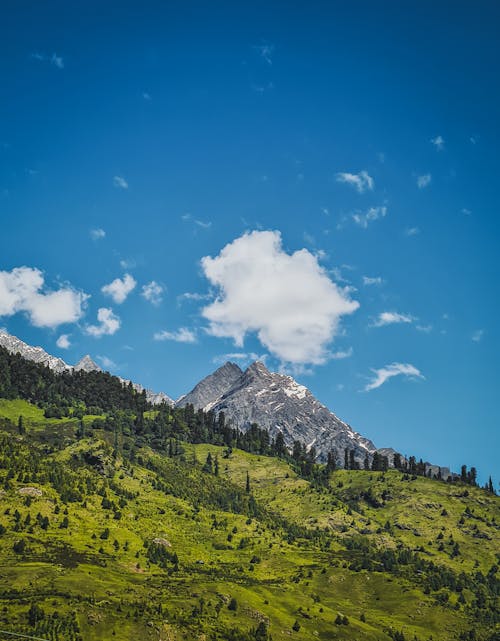 Gratis stockfoto met bergen, blauwe lucht, bomen