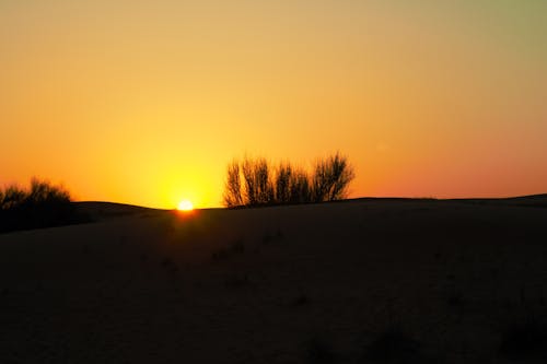 光與影, 日落美景, 沙漠 的 免费素材图片
