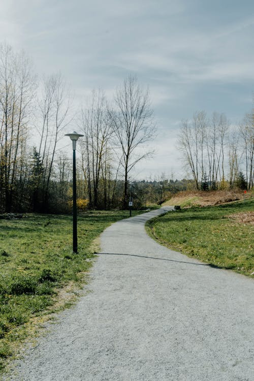 Darmowe zdjęcie z galerii z kierunek, park, pionowy strzał