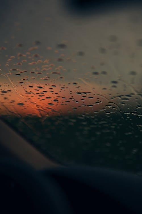 날씨, 방울, 비의 무료 스톡 사진