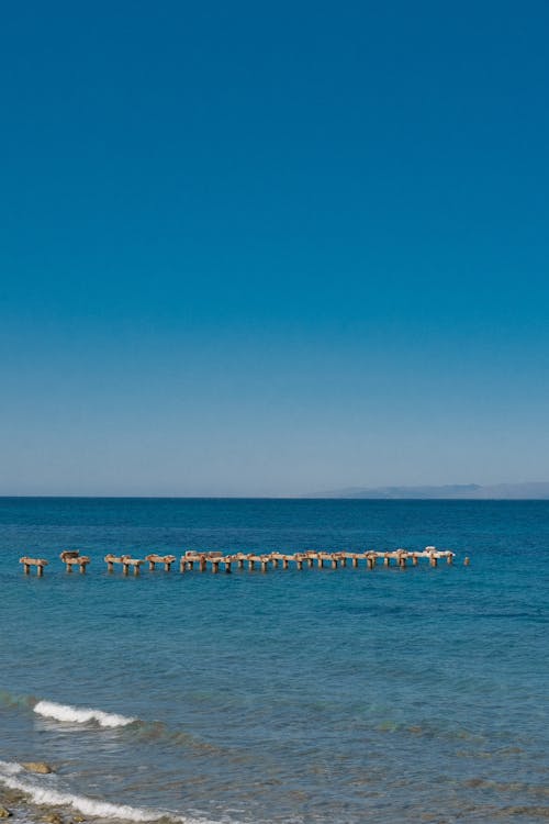 エーゲ海, くつろぎ, サーフィンの無料の写真素材