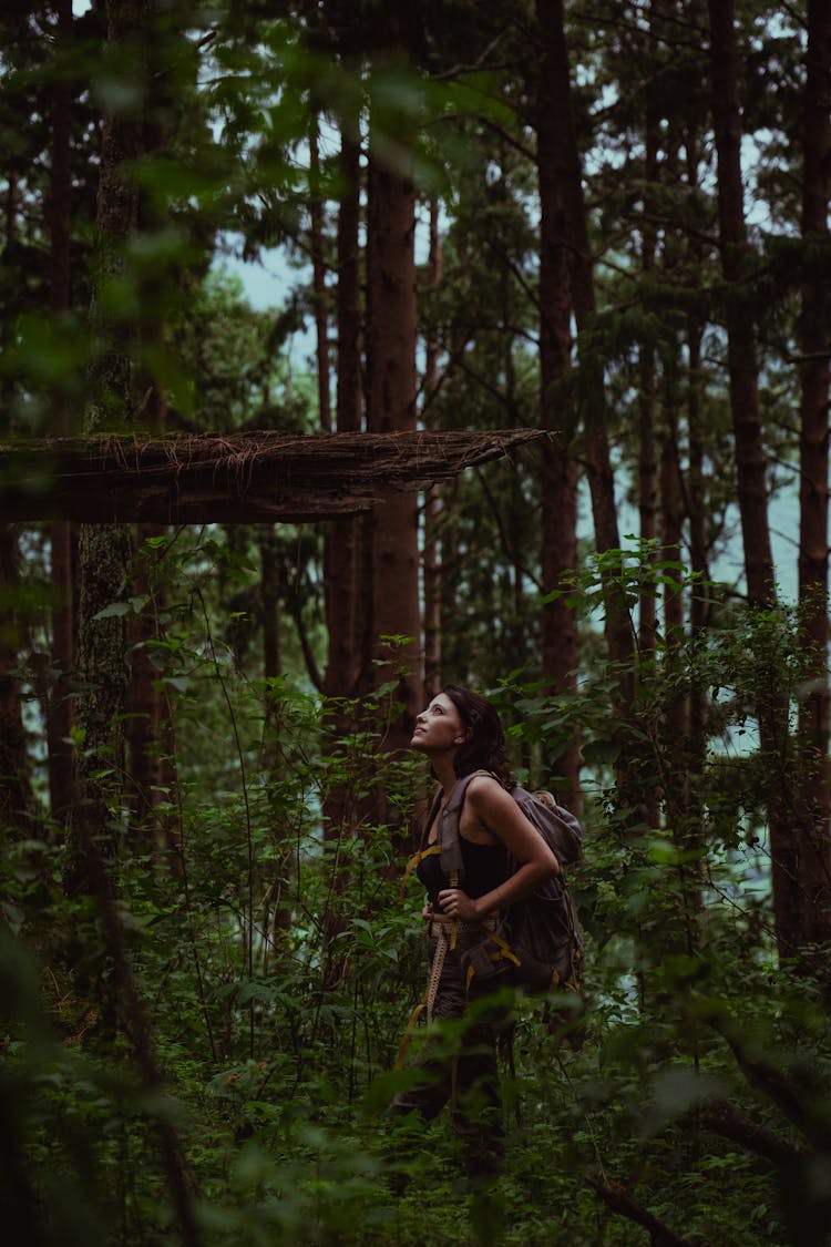 Woman Walking In Forest