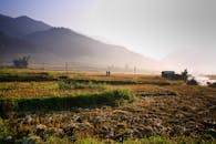 日出时分，雾霭笼罩下的农田与山脉风景如画，是理想的旅行与自然主题