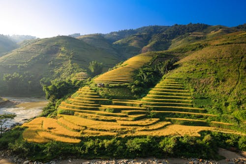 Foto d'estoc gratuïta de a l'aire lliure, agricultura, aigua