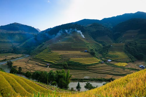 Fotografia Aérea De Terraços De Arroz