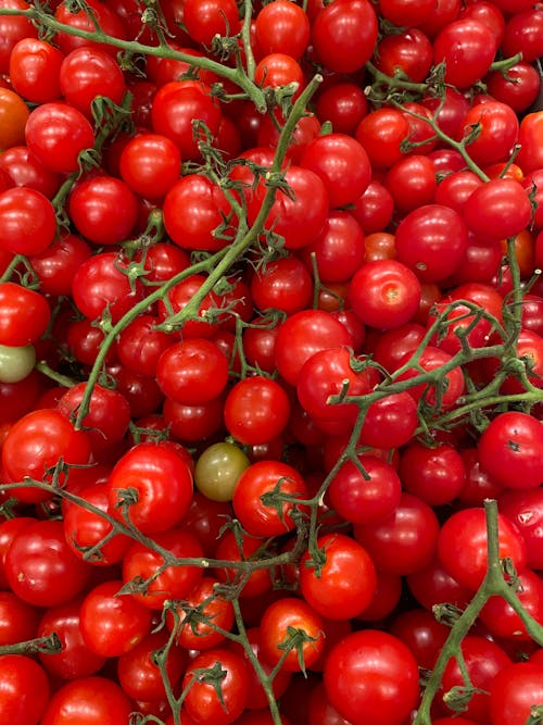Free A close up of a bunch of cherry tomatoes Stock Photo