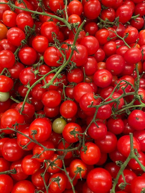 Free A vibrant display of fresh organic cherry tomatoes with vines. Stock Photo