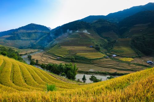 Free Stunning landscape of Vietnam's rice terraces at sunset, showcasing vibrant hues and rural beauty. Stock Photo
