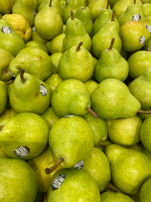 Free A large pile of green pears with labels Stock Photo