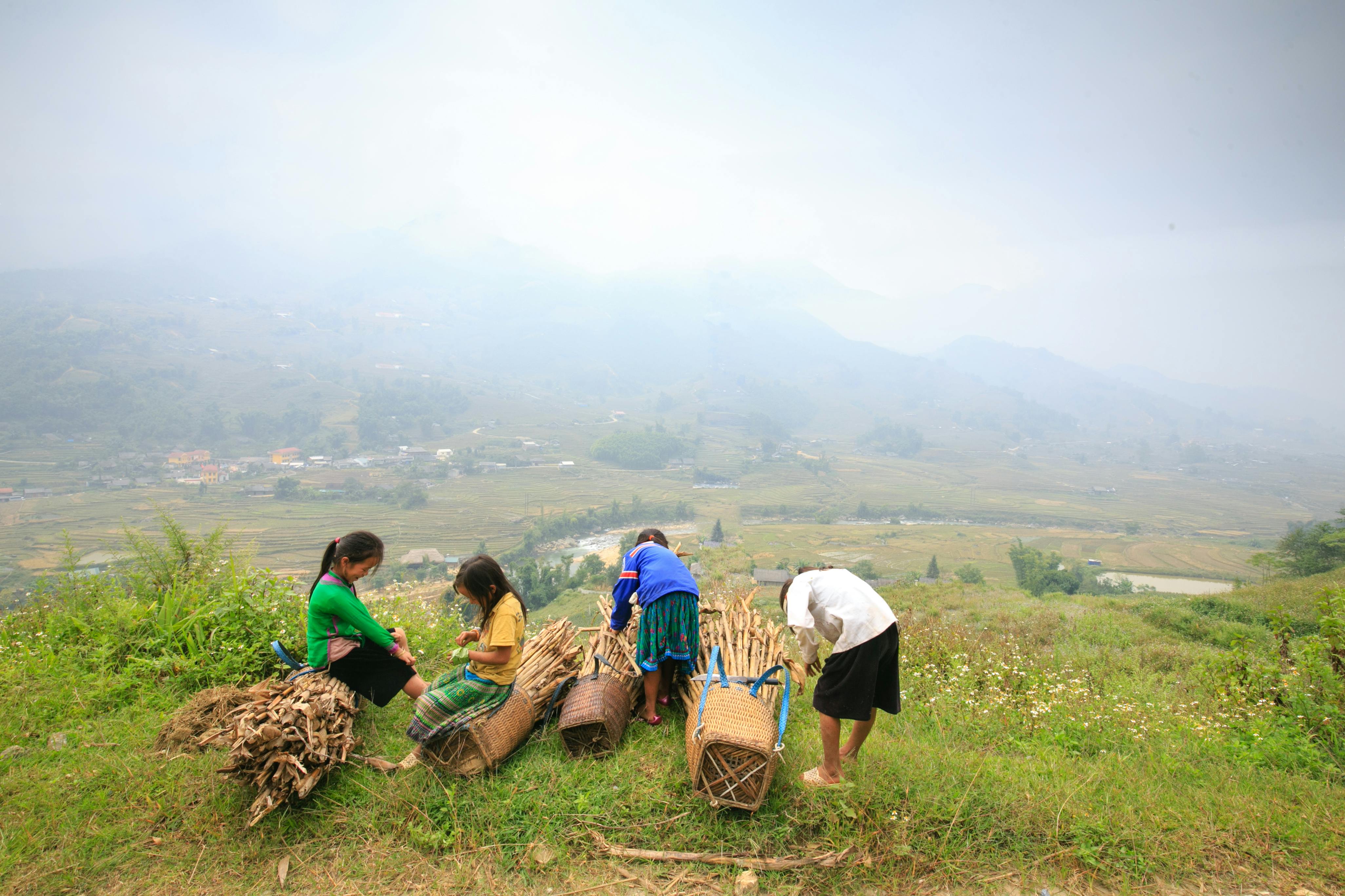 一群年轻人在雾气蒙蒙的田野里拾柴，展现了传统的劳动场景