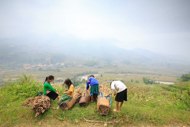 Children Carrying Firewoods