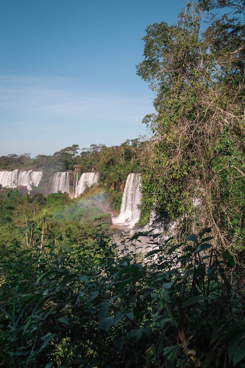 Fotobanka s bezplatnými fotkami na tému dažďový prales, iguazu falls, krajina