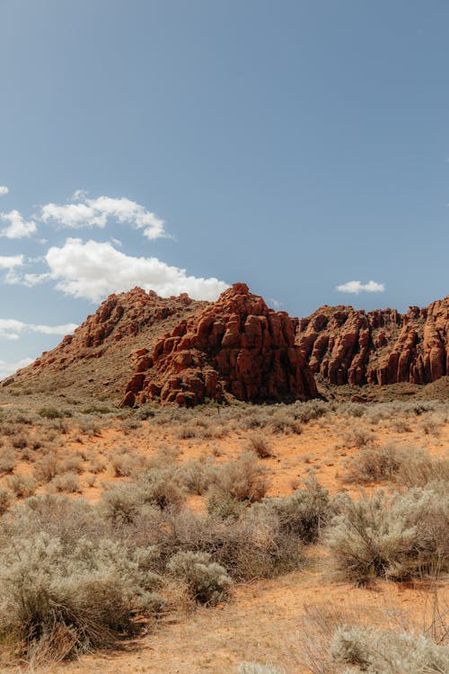 A desert landscape with red rocks and bushes