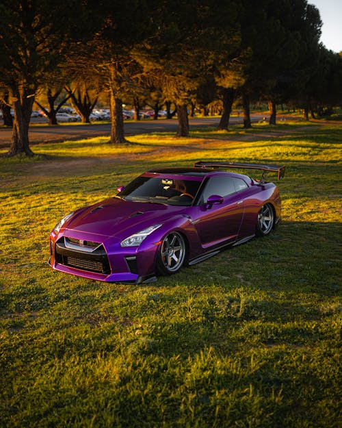 A purple nissan sports car parked in the grass