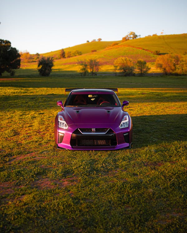 Purple Nissan on a Field 