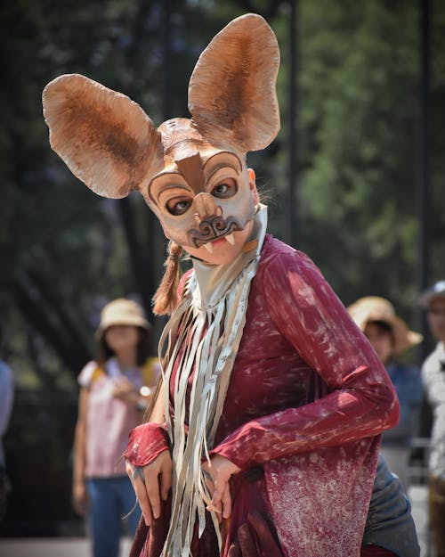 A woman in a costume with ears and a mask