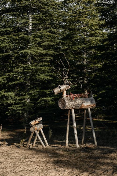 Free Handcrafted wooden deer figures in a serene forest landscape, evoking a rural and natural ambiance. Stock Photo