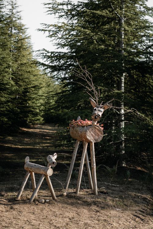 Free Decorative wooden deer sculptures amidst a serene forest backdrop. Stock Photo