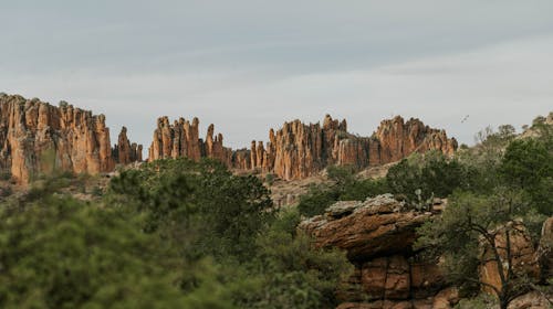 The view of the rock formations in the desert