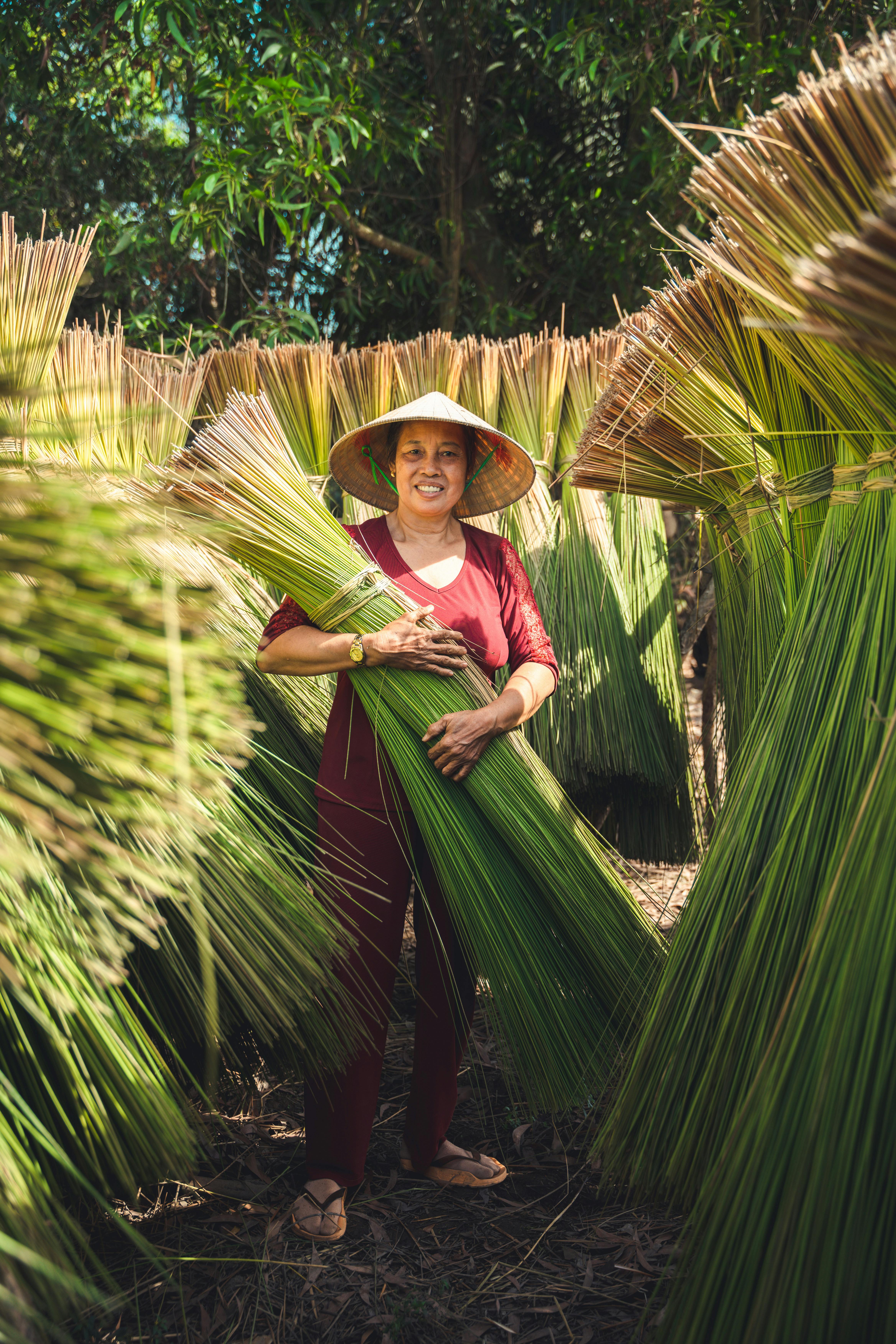 Asian woman in Long An, Vietnam holding plants in a rural field with a conical hat.