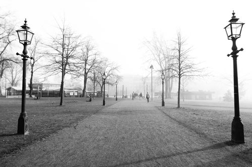 Free A serene black and white image of a foggy park in Jönköping, Sweden with bare trees and lampposts lining the path. Stock Photo