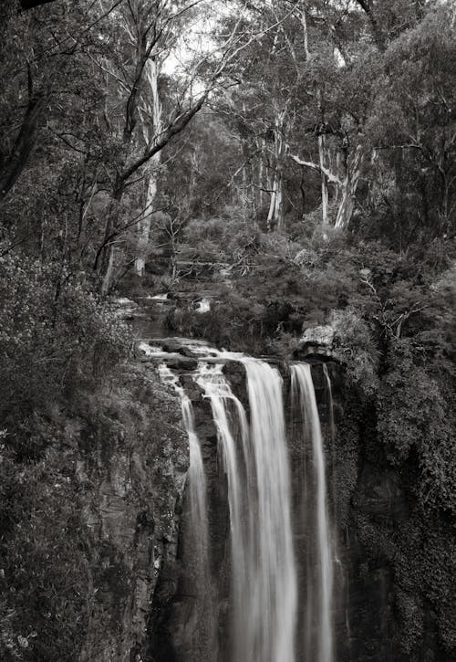 Black and white photograph of a waterfall in the woods