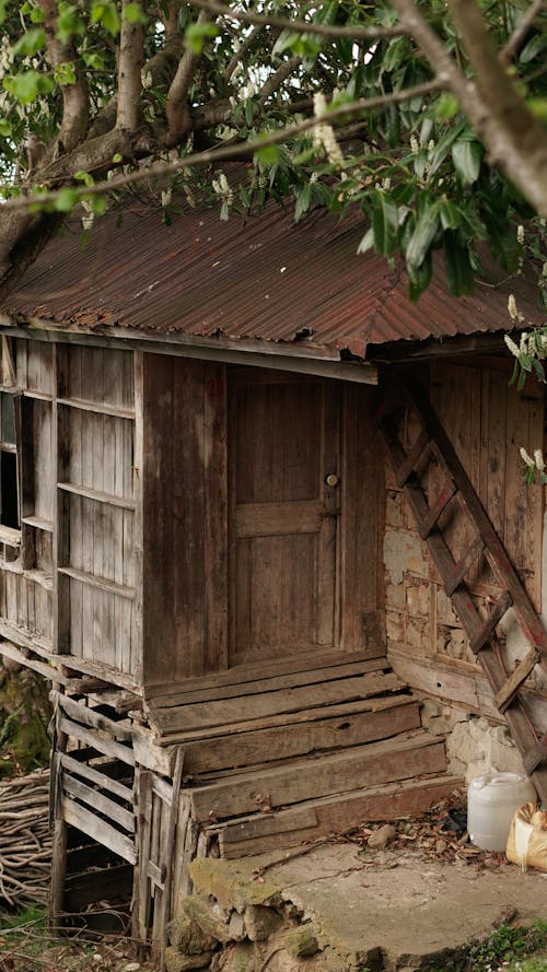 垂直拍摄, 小屋, 建造 的 免费素材图片