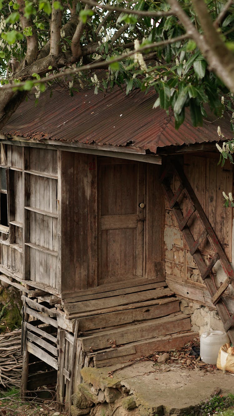 Wooden Shed Building