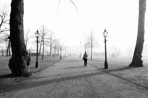 Free A person strolls through a foggy park in Jönköping, Sweden, on a misty winter morning, creating a serene silhouette. Stock Photo