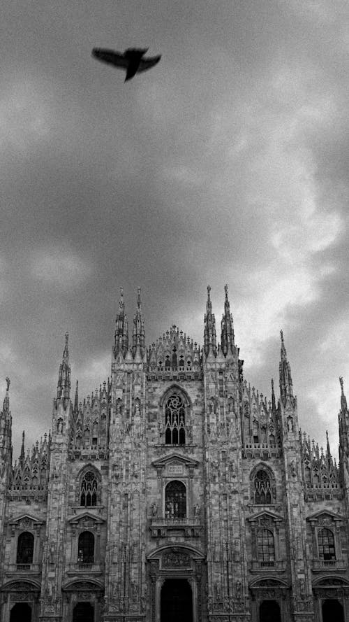 A black and white photo of a cathedral with a bird flying over it
