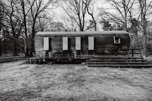 Foto profissional grátis de abandonado, árvores, casa de campo