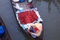 Person Sitting on Boat Beside Red Vegetables