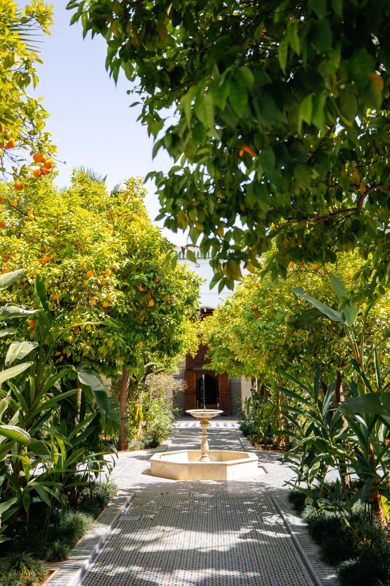 Garden pathway with a central fountain and citrus trees