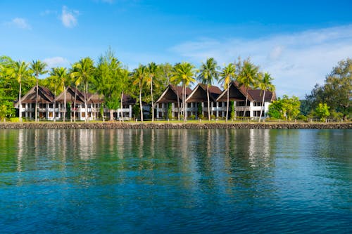 A resort on the water with palm trees and a beach
