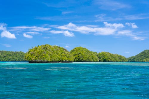 A small island in the middle of the ocean with green trees