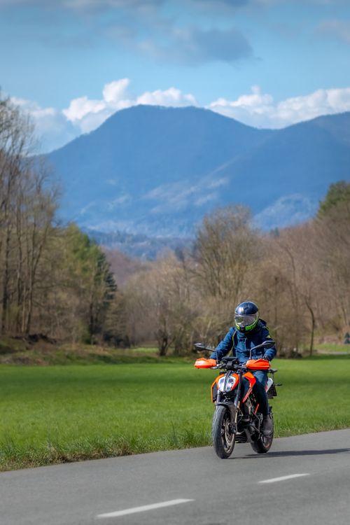 Free A motorcyclist riding along a scenic forest road with mountains in the background on a clear day. Stock Photo