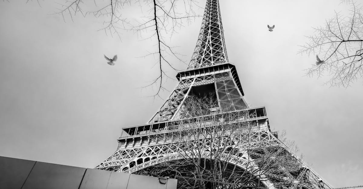 2026 Fransa Vize Rehberi: Türk Vatandaşları İçin Eksiksiz Kılavuz