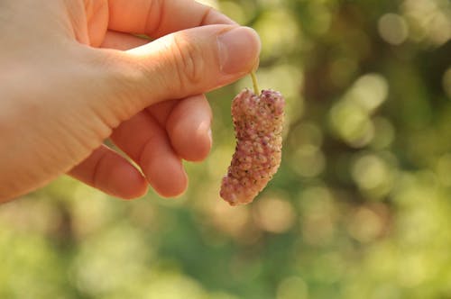 Free stock photo of el, finger