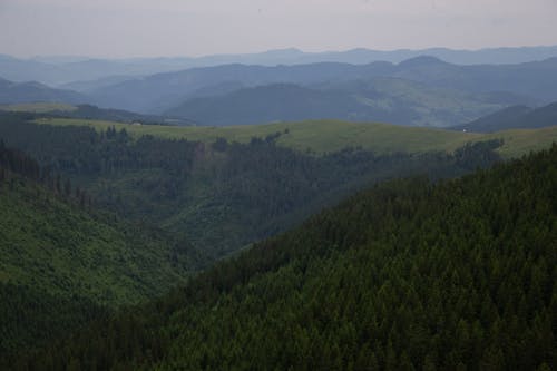 Kostenloses Stock Foto zu acker, baum, berg